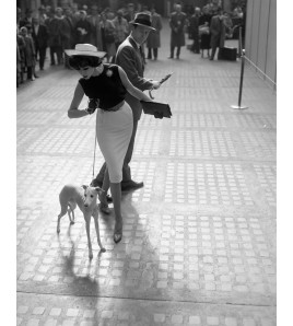 Diario de un asesino melancólico