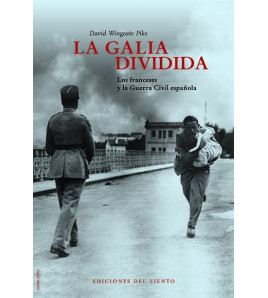 La Galia dividida