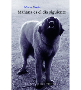 Mañana es el día siguiente