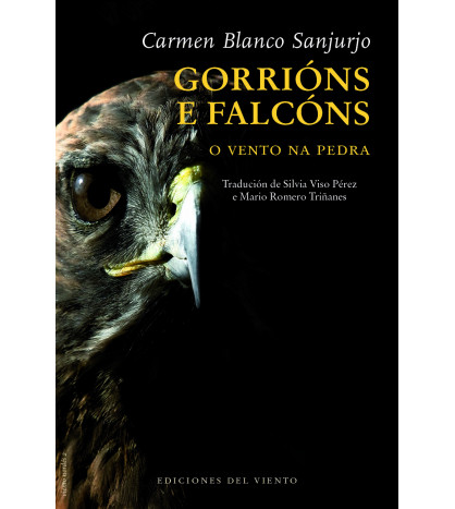 Gorrións e falcóns